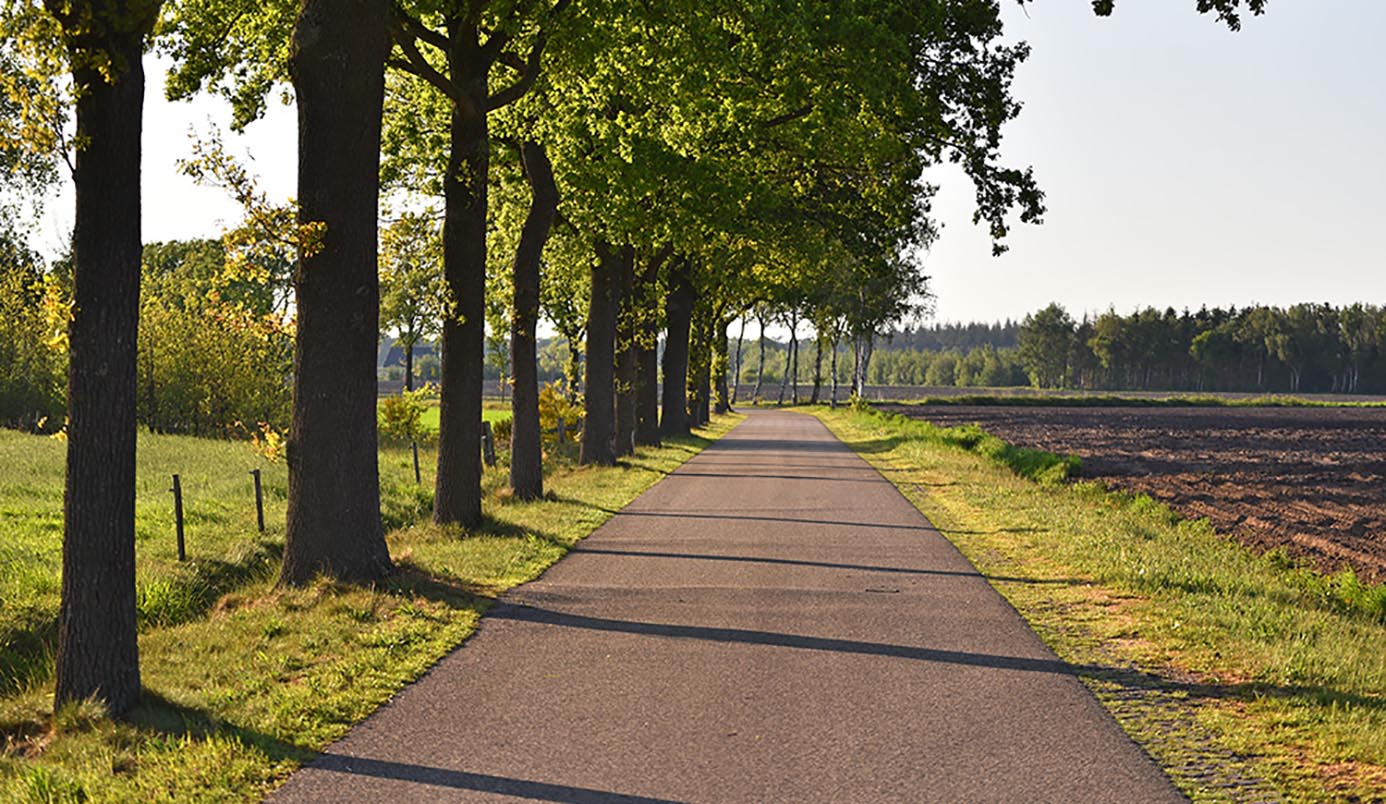 Fietsroute in Breda: De Beste Fietspaden