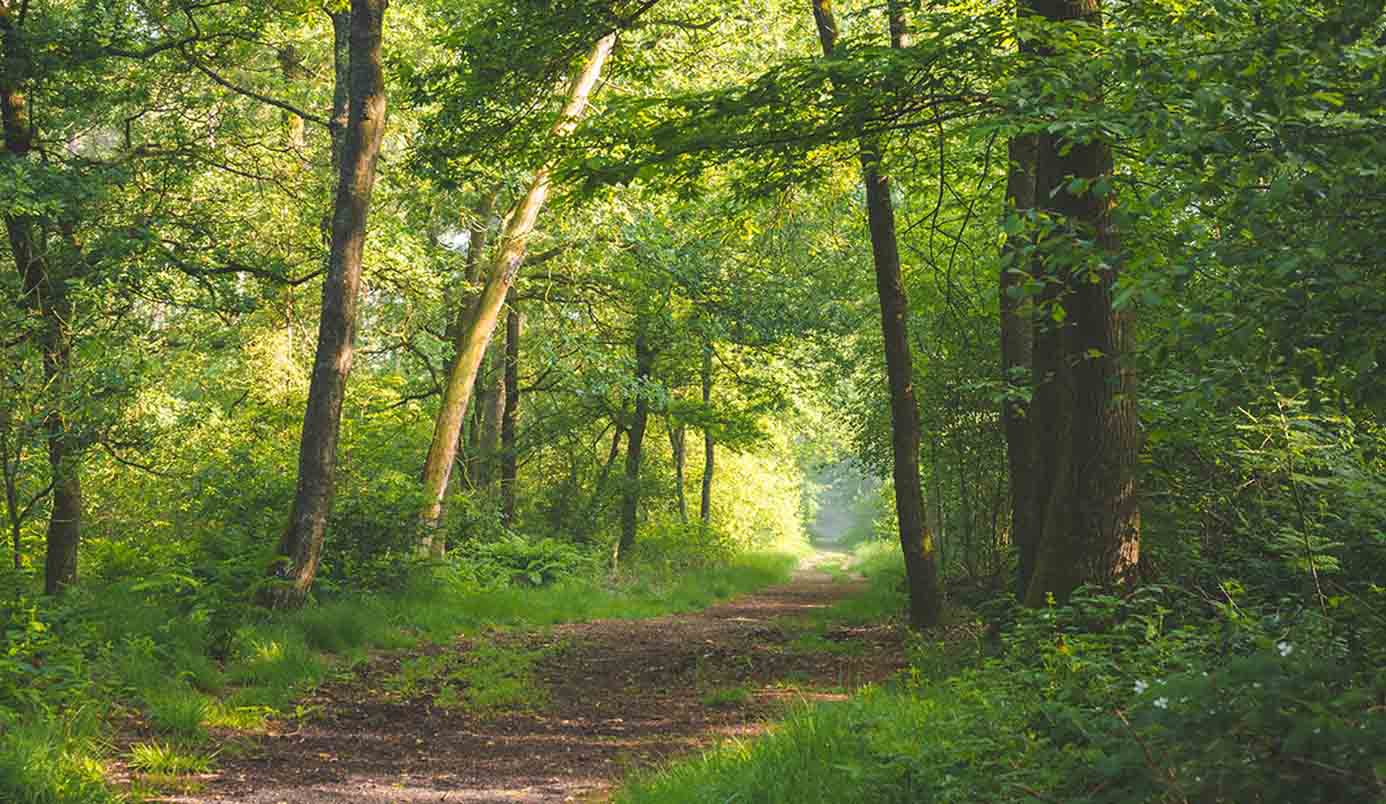 Ontdek de mooiste natuurplekken van Tilburg