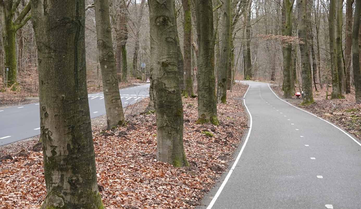 Fietsen in Apeldoorn in februari: de mooiste routes om de stad en natuur op twee wielen te ontdekken